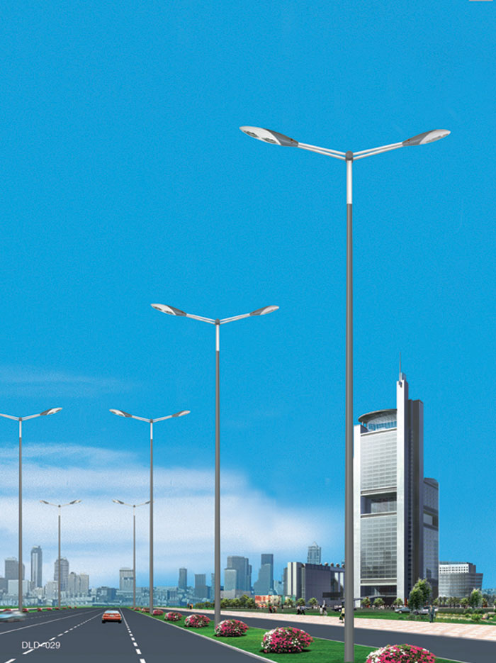 ��·��DLD029